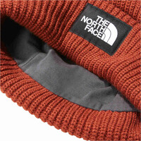 The North Face gorros montaña SALTY DOG LINED BEANIE 02