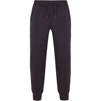 Born Living Yoga pantalón hombre Joggers Waikato 03