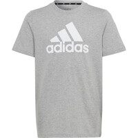 adidas camiseta manga corta niño Essentials Big Logo Cotton vista frontal