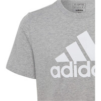 adidas camiseta manga corta niño Essentials Big Logo Cotton vista detalle
