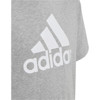 adidas camiseta manga corta niño Essentials Big Logo Cotton 04