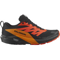 Salomon zapatillas trail hombre SENSE RIDE 5 GTX lateral exterior