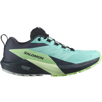 Salomon zapatillas trail mujer SENSE RIDE 5 GTX W lateral exterior