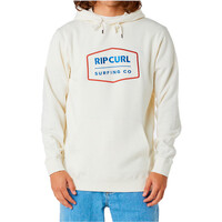 Rip Curl sudadera hombre RADIATE HOODED FLEECE vista frontal