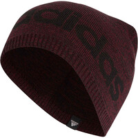 adidas gorro esquí hombre DAILY BEANIE LT vista frontal