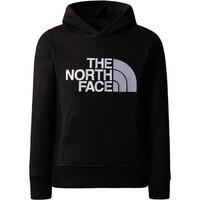 The North Face camiseta montaña manga larga niño B DREW PEAK P/O HOODIE vista frontal