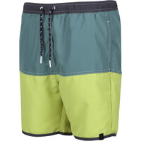 Benicio SwimShort