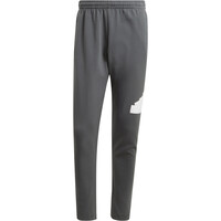 adidas pantalón hombre M FI BOS PT 04