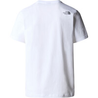 The North Face camiseta montaña manga corta hombre M S/S MOUNTAIN LINE TEE vista trasera