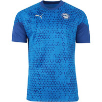 Puma camiseta de fútbol oficiales ALAVES 24  Training Jersey vista frontal
