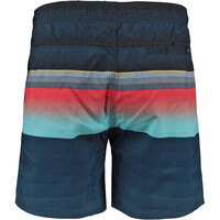 Rip Curl bañador playa hombre BREAKER VOLLEY vista trasera