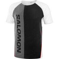 Salomon camisetas trail running manga corta hombre S/LAB SPEED TEE M vista frontal