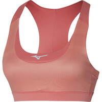 Alpha Graphic Bra (w)