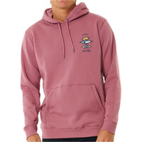 Rip Curl sudadera hombre SEARCH ICON HOOD vista frontal