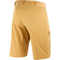 Salomon pantalón corto montaña hombre WAYFARER SHORTS M 03