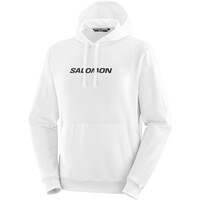 Salomon Sudaderas Montaña Hombre SAL LOGO PERF HOODIE M vista detalle