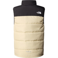 The North Face chaleco outdoor niño TEEN NEVER STOP SYNTHETIC VEST vista trasera