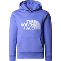 The North Face camiseta montaña manga larga niño B DREW PEAK P/O HOODIE vista frontal