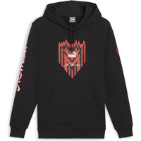 Puma sudadera entrenamiento fútbol ACM Ftblicons Hoody 03