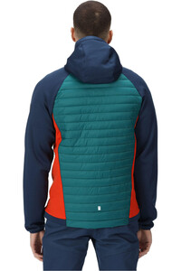 Regatta chaqueta outdoor hombre ANDRESONVIIHYBRID vista trasera