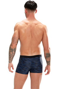 Speedo bañador natación hombre Valmilton Aquashort vista detalle