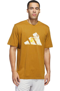 adidas camiseta baloncesto BS HBR Tee vista frontal