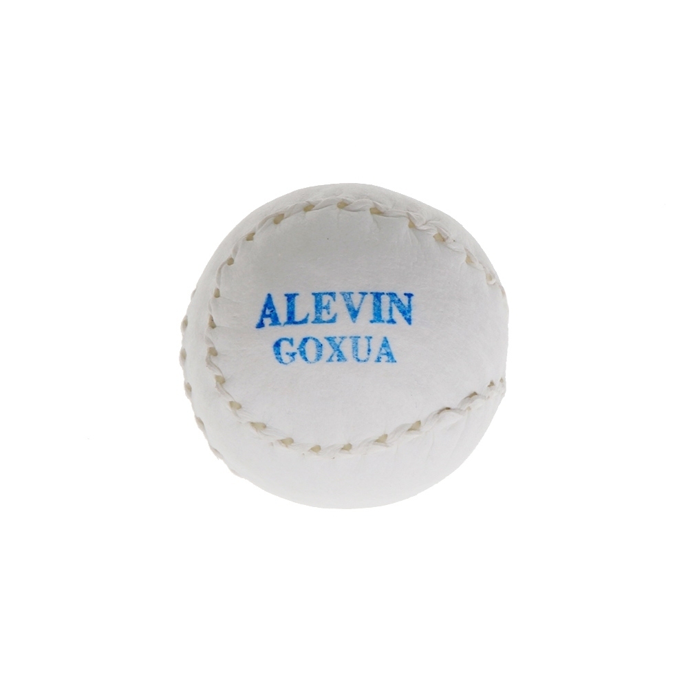 Euskalduna mano alevin goxua pelota mano alevín