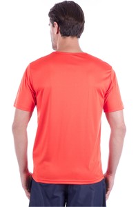 Masspro camiseta tenis manga corta hombre T-AETO GRANADINE vista trasera