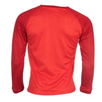 Neak Peak camiseta montaña manga larga hombre T-NASILLA GRANADINE vista trasera