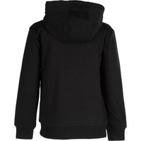 Rip Curl sudadera niño SQUARED UP HOODED FLEECE vista trasera