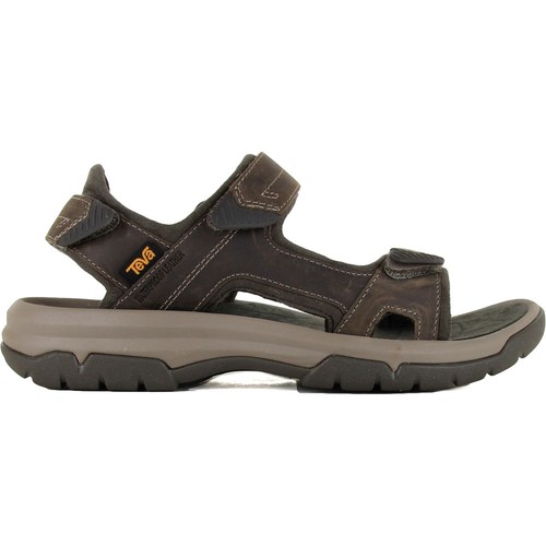 Teva Langdon