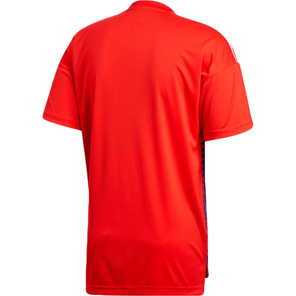 adidas camiseta de fútbol oficiales RUSIA 18 H PRE vista trasera