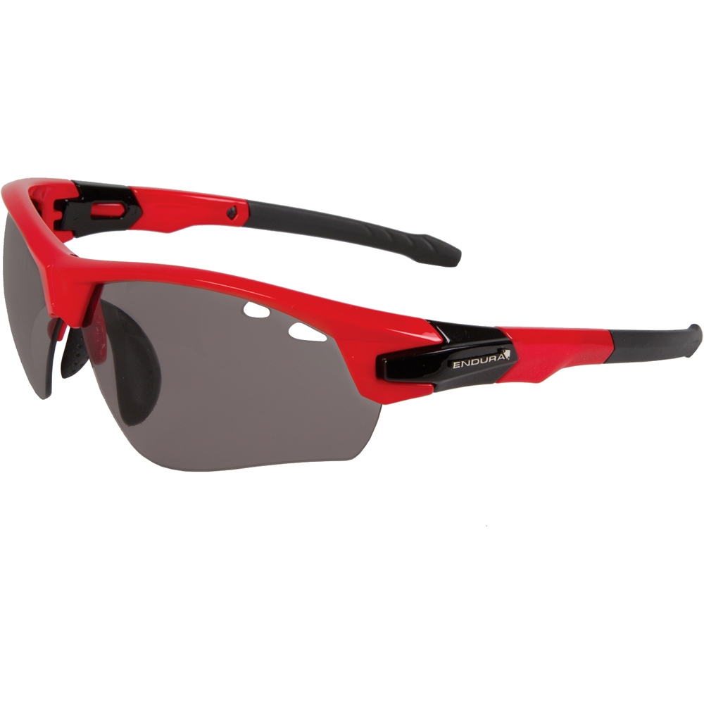 Endura gafas ciclismo Gafas Char vista frontal