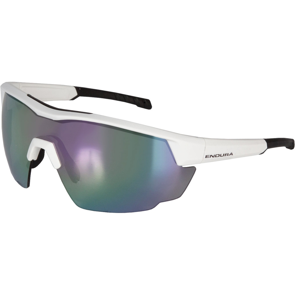 Endura gafas ciclismo Gafas FS260-Pro vista frontal