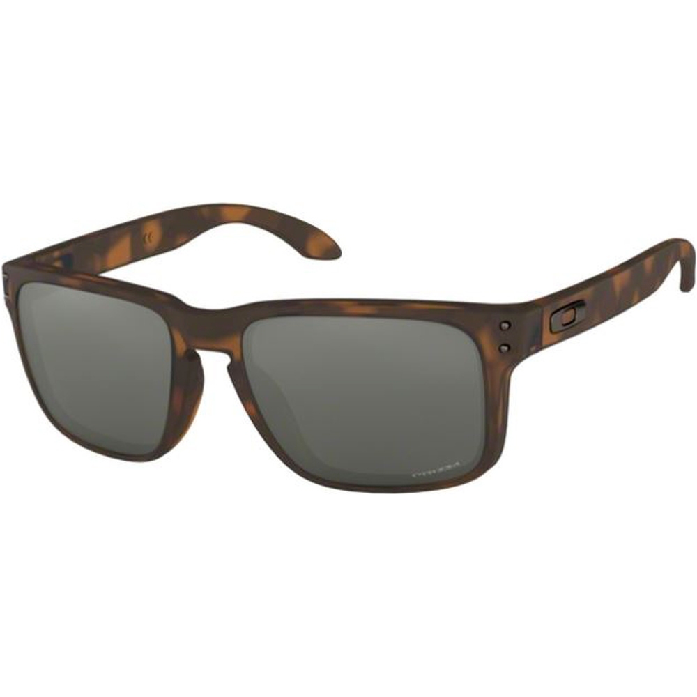 Holbrook gafas deportivas Marron (UNICA)