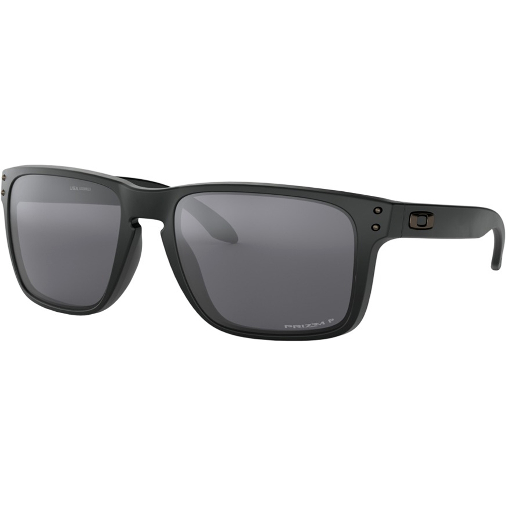 Oakley holbrook xl gafas deportivas