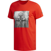 adidas camiseta baloncesto SKULL BALL vista frontal