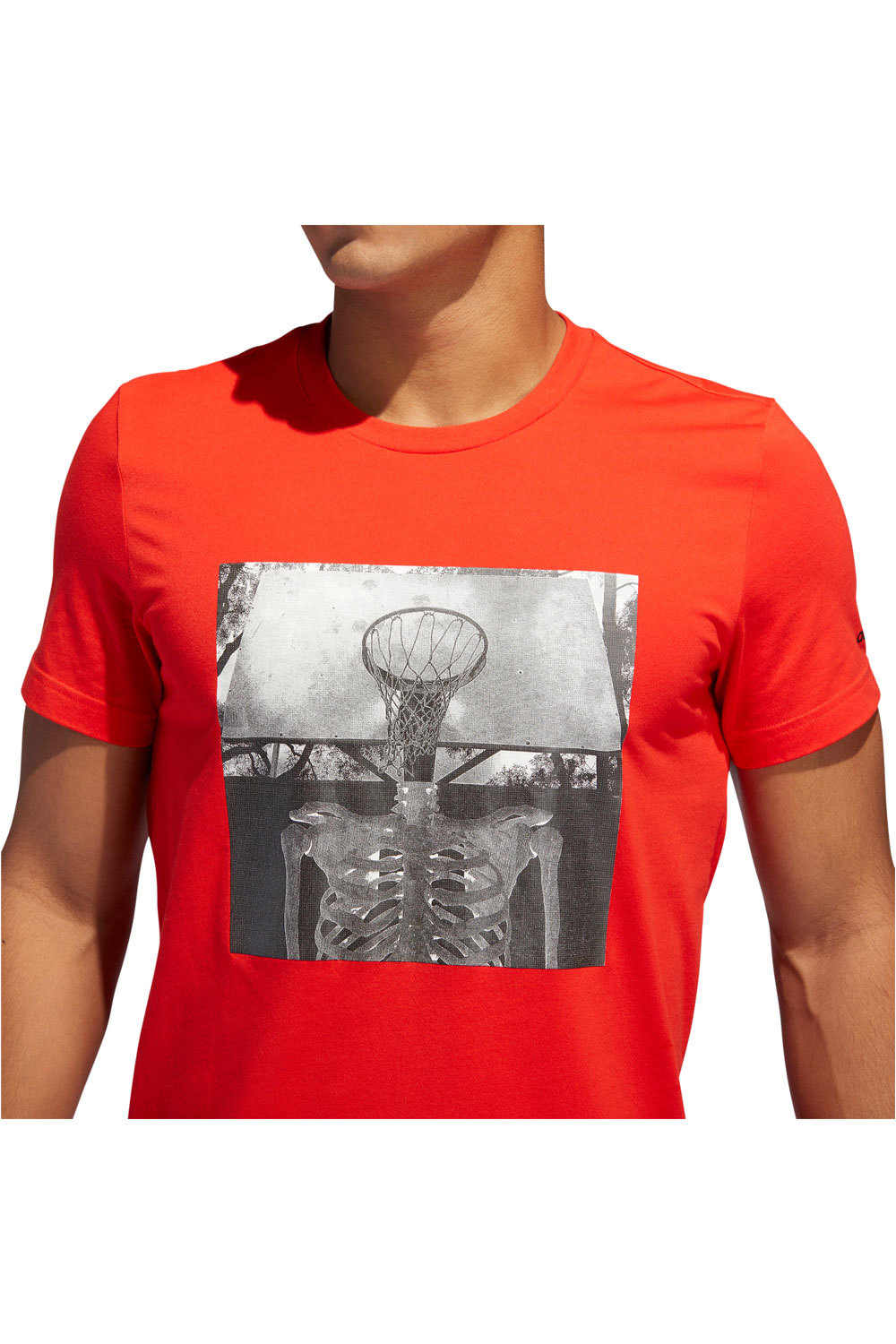 adidas camiseta baloncesto SKULL BALL vista detalle