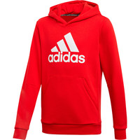 adidas sudadera niño YB MH BOS PO vista frontal