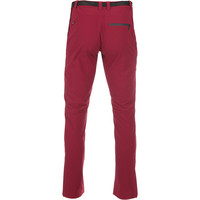 Ternua pantalón montaña hombre _2_3_ARMAGH PANT FMW vista trasera