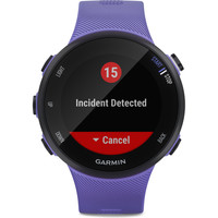 Garmin pulsómetros con gps Forerunner 45 Small IRIS BK 03