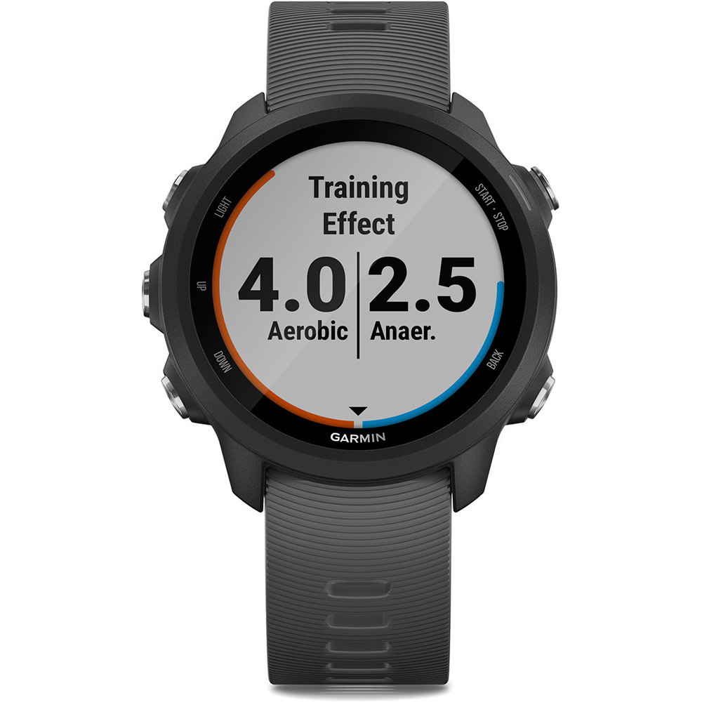 Garmin pulsómetros con gps Forerunner 245 BK SLATE 04