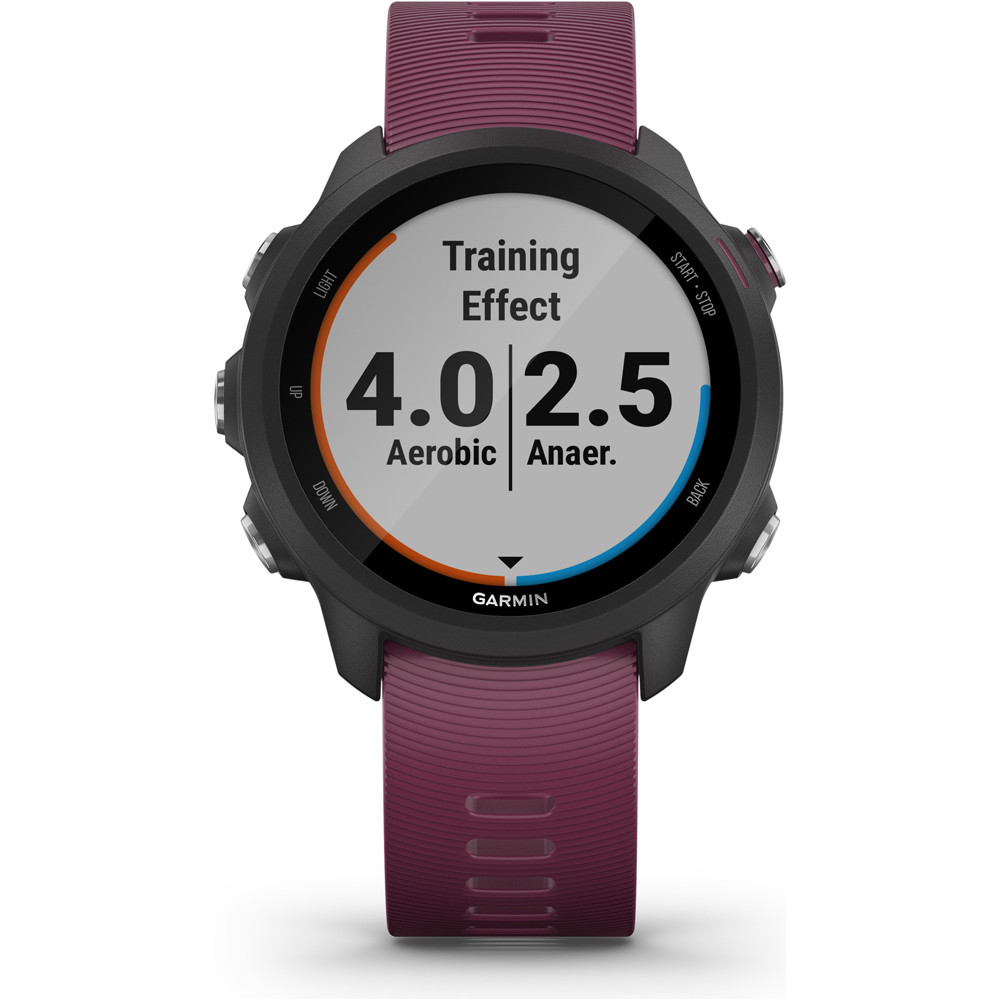 Garmin pulsómetros con gps Forerunner 245 BK MERLOT 04