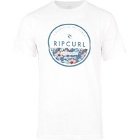 Rip Curl camiseta manga corta hombre GINGERIN TEE vista frontal