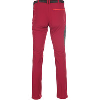 Ternua pantalón montaña hombre _1_PANTALON LURGAN FMS vista trasera