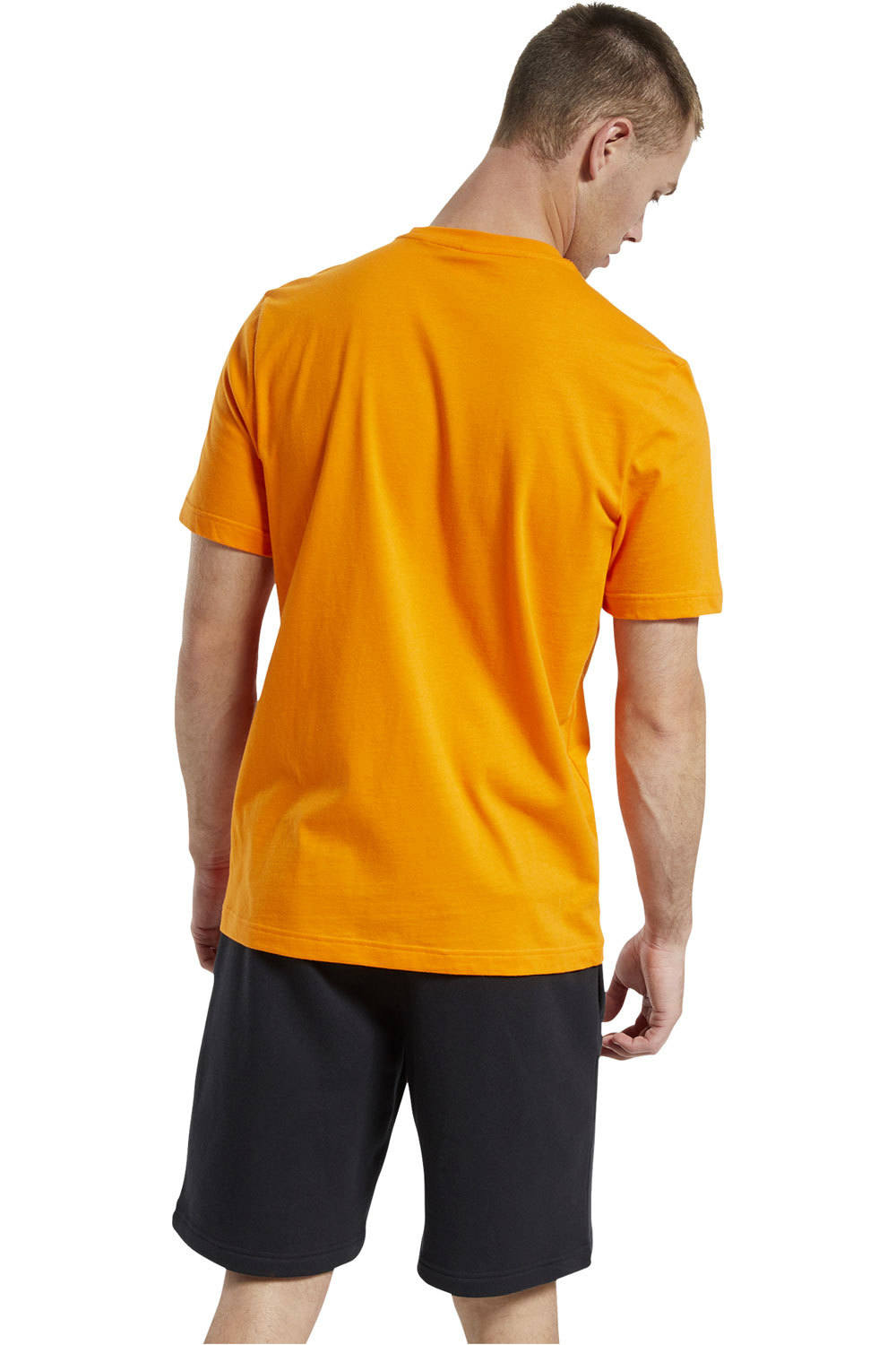 Reebok camiseta manga corta hombre CL F VECTOR TEE vista trasera