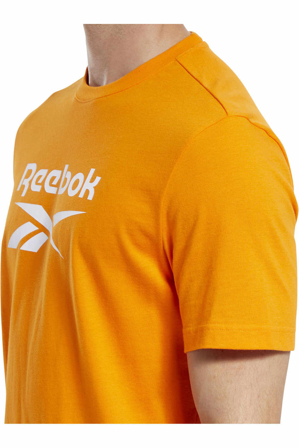 Reebok camiseta manga corta hombre CL F VECTOR TEE vista detalle