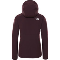 The North Face chaqueta softshell mujer W SHELBE RASCHEL HOODIE vista trasera