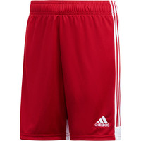 adidas pantalones cortos futbol niño Tastigo 19 05