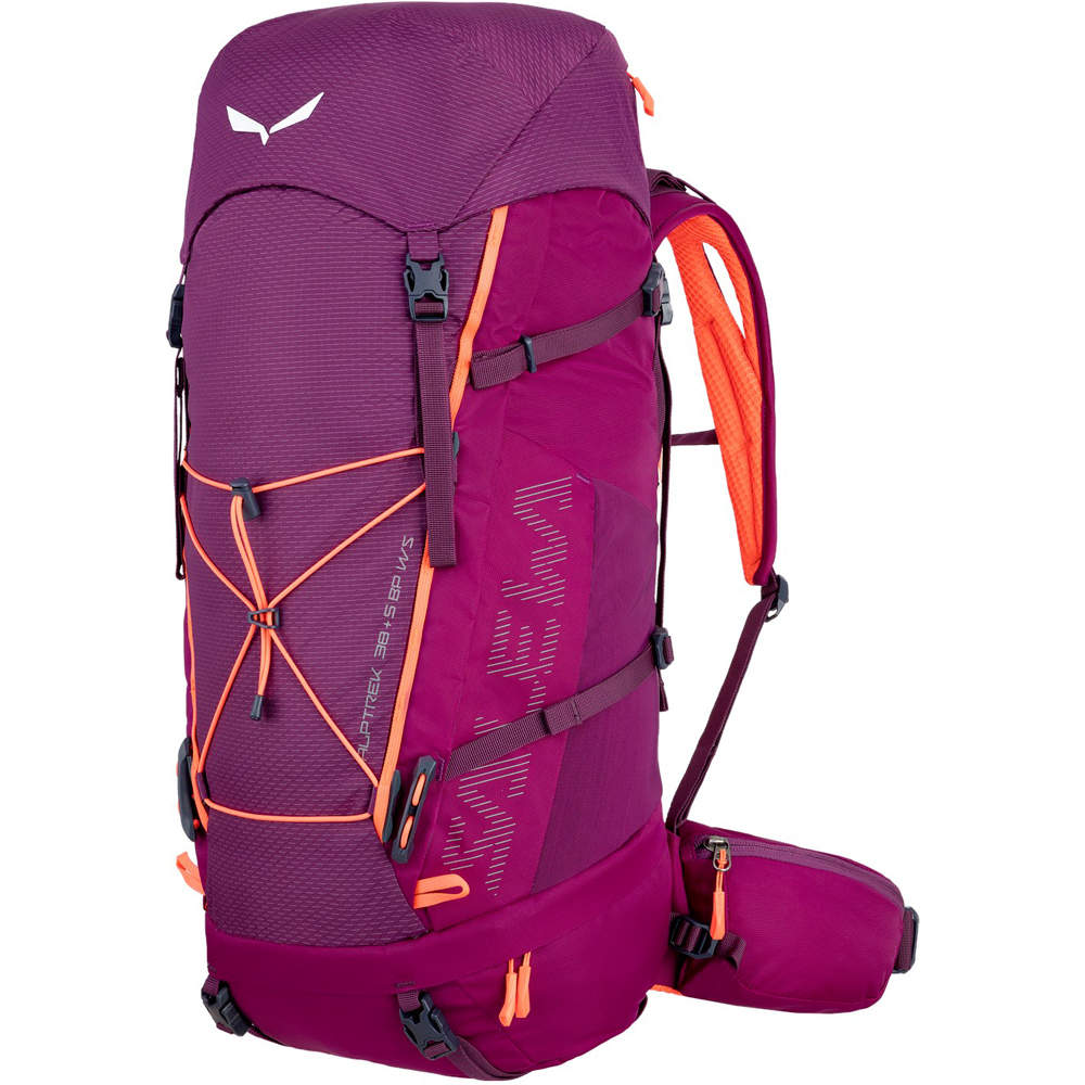 Salewa mochila montaña ALPTREK 38 BP WS MO vista frontal